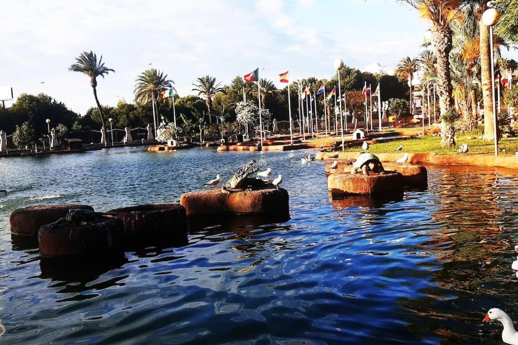 Adventure Harbour Lägenhet Torrevieja Exteriör bild