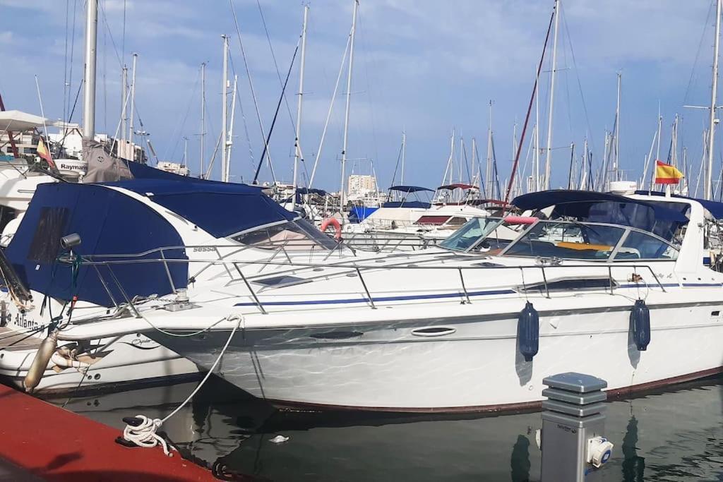 Adventure Harbour Lägenhet Torrevieja Exteriör bild