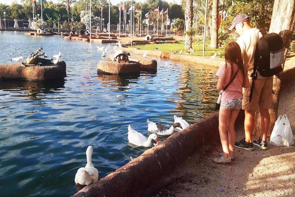 Adventure Harbour Lägenhet Torrevieja Exteriör bild
